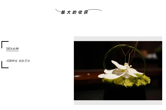 image-20250630095156398